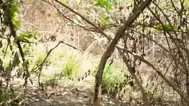 Desi GF Fucked by her BF in the Forest (3 Clips Merged)