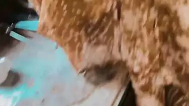 Tight ass Muslim bhabhi blowjob and doggy fingering